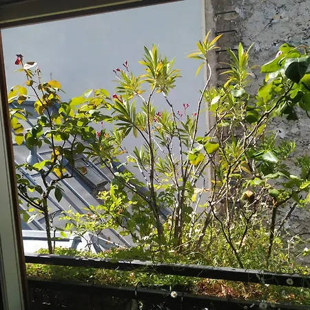 Sevres-babylone 6eme, Rive Gauche Apartmán Paříž